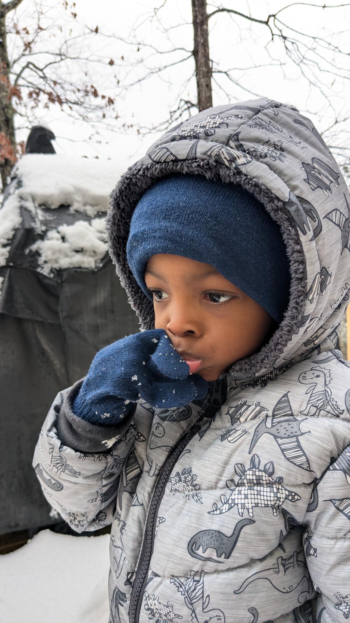 Snow Day in Pelham January 10, 2024